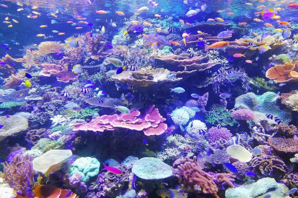 pof headlines for guys