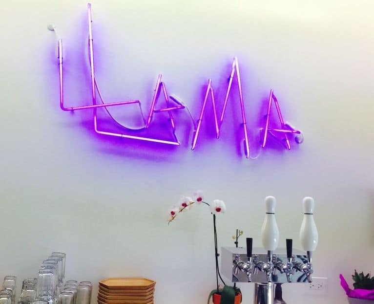 purple llama chicago