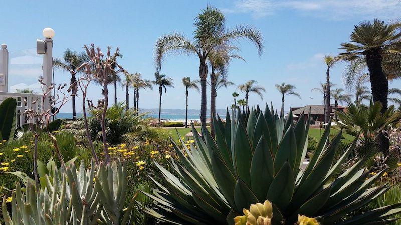 romantic date idea san diego