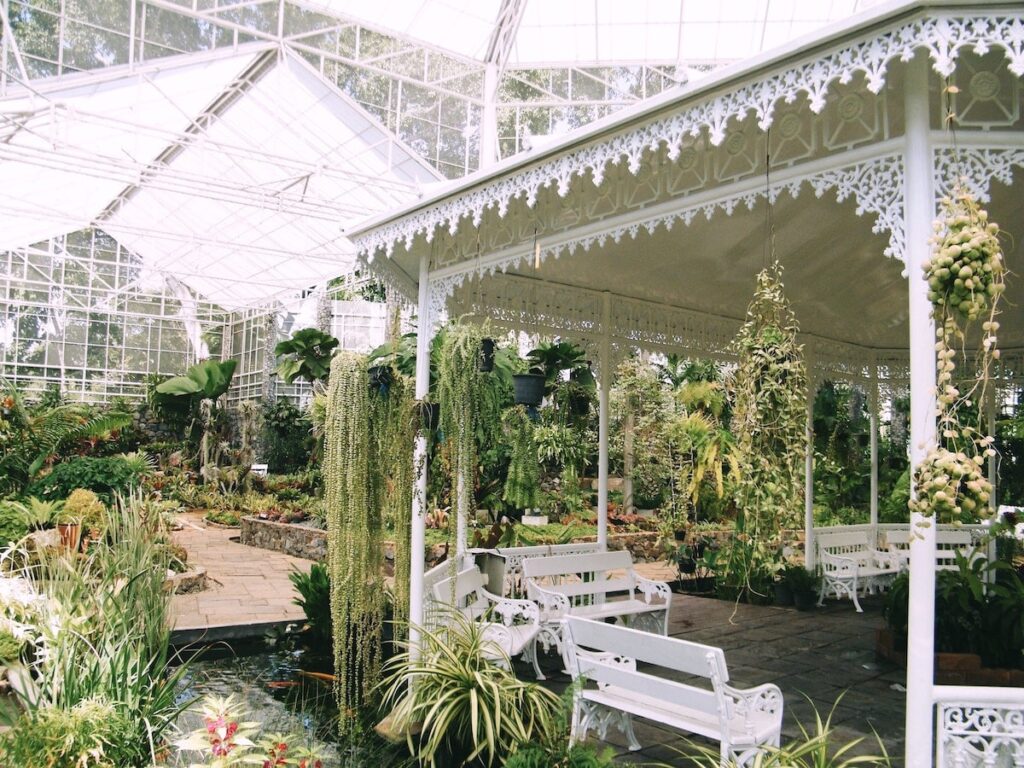 botanical garden