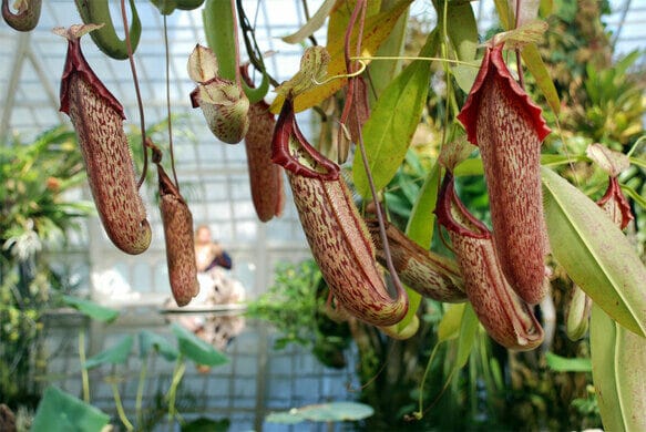 best date ideas san fran