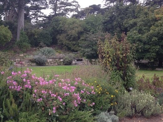 best date ideas san fran