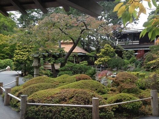 Date ideas san francisco