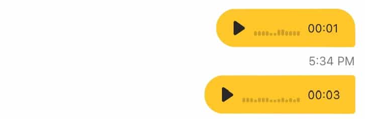 How do you do a voice note on bumble?