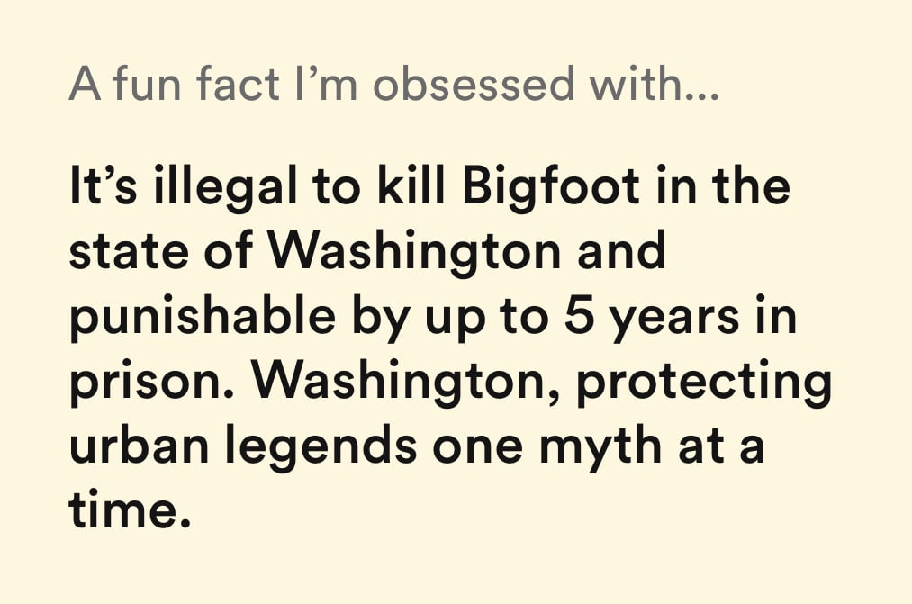 a fun fact i'm obsessed with