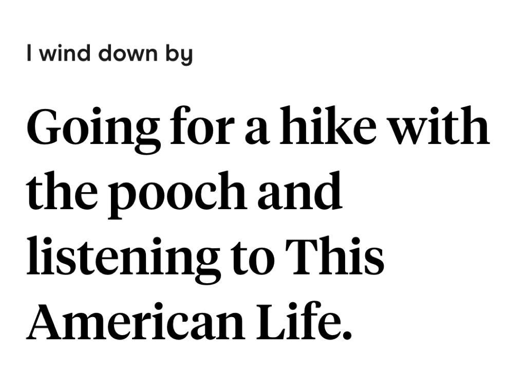 best hinge prompt responses