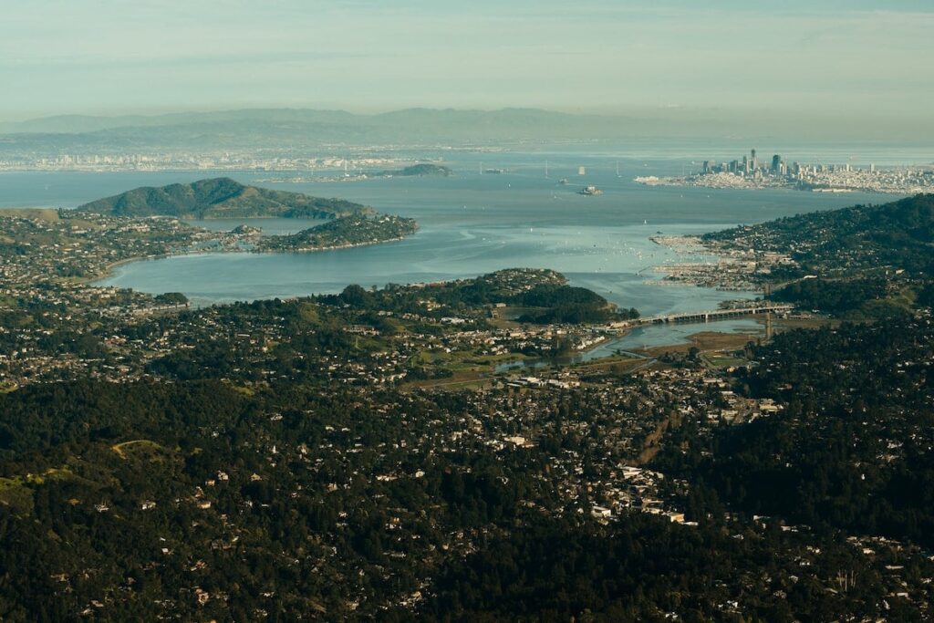 marin county dating coach