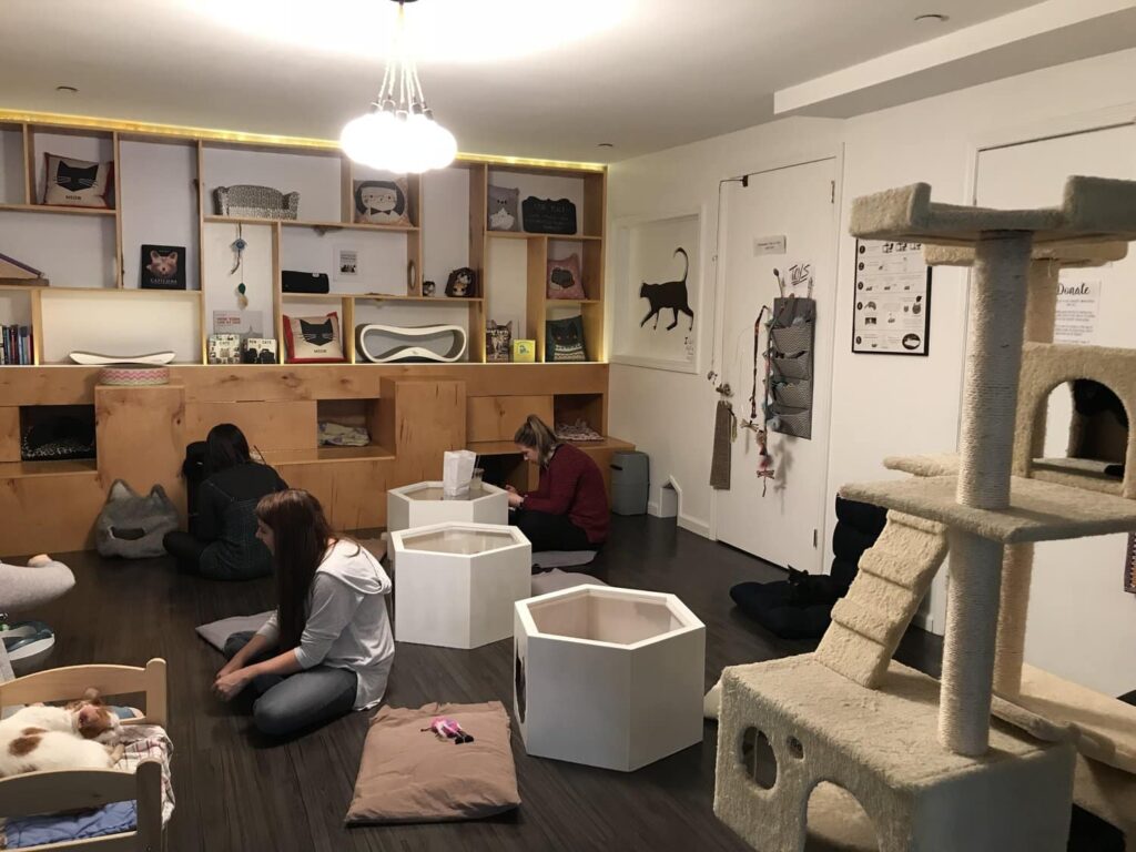 best nyc first date ideas