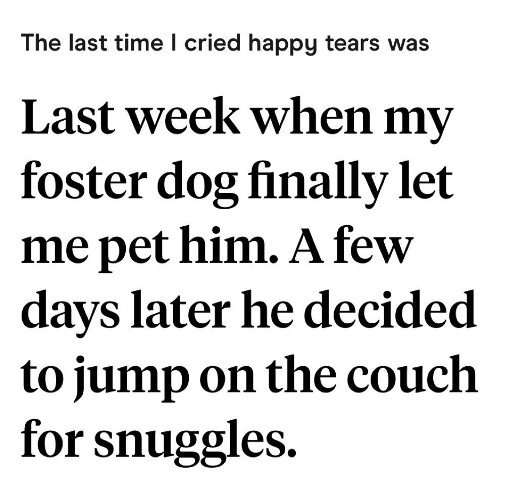 best hinge prompt responses