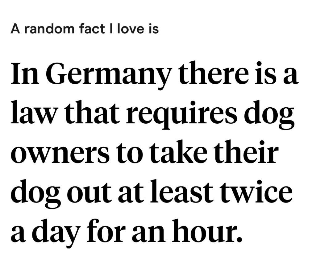 best hinge prompt responses
