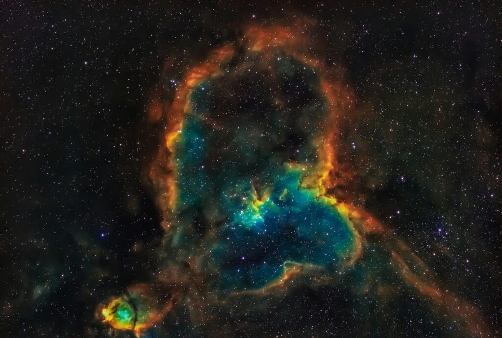 newton dating coach for men