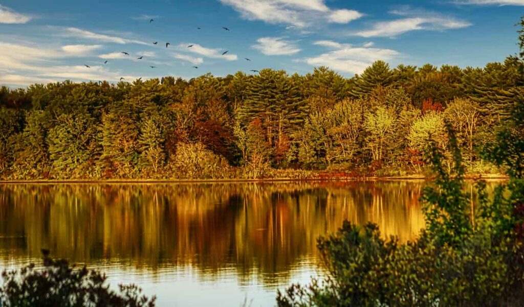 wellesley dating coach