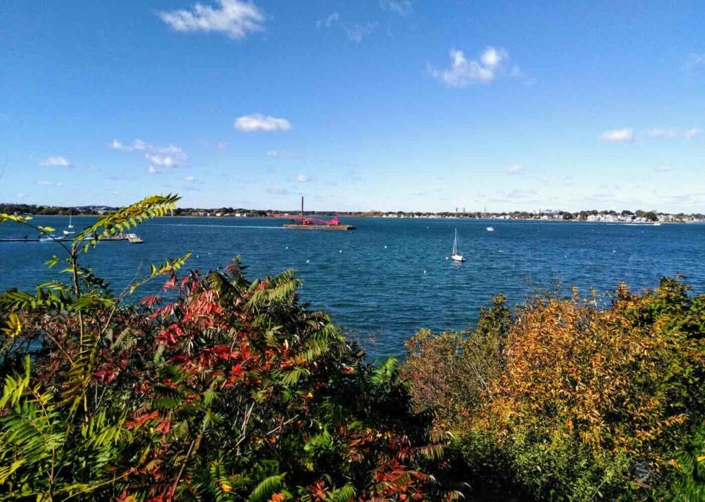 weymouth dating coach